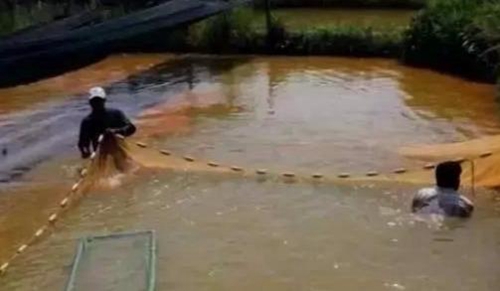 水渾了？不用怕，這五個方面讓水質恢復清新